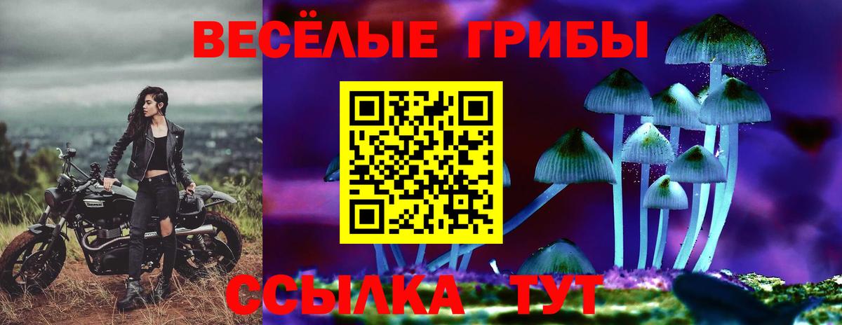 Галлюциногенные грибы прущие грибы Пенза